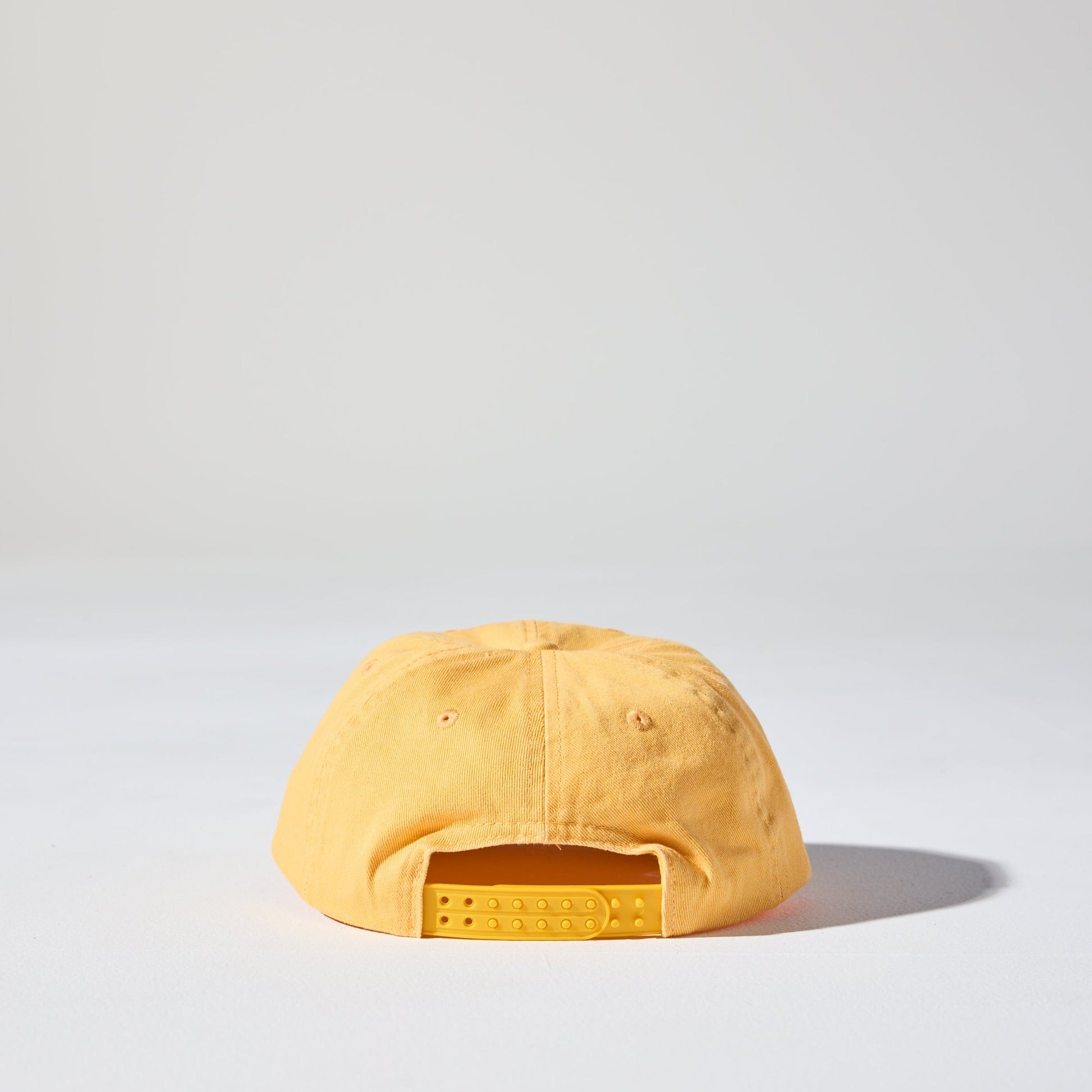 Monday Snap Cap